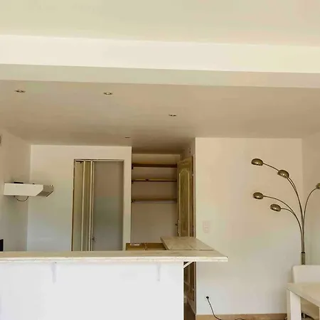 Equipe Vue * 普罗普里亚诺